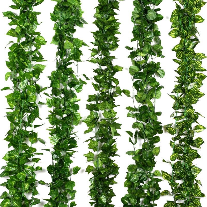 Rattan Plant Basket - 230cm vivas plantas artificiais trepadeira uva